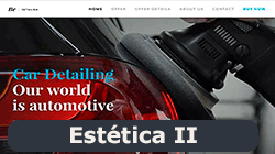 site estetica automotiva2